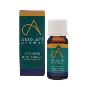 Absolute Aromas Lavender High Altitude Essential Oil