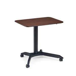 Rise Home Workstation