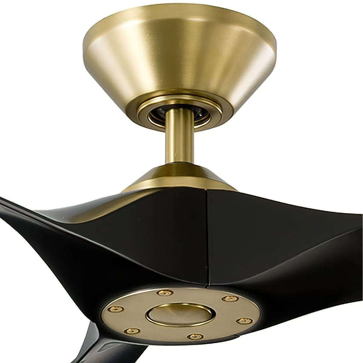Torque 58 Inch Damp Rated Smart Ceiling Fan, Brass with Matte Black Blades